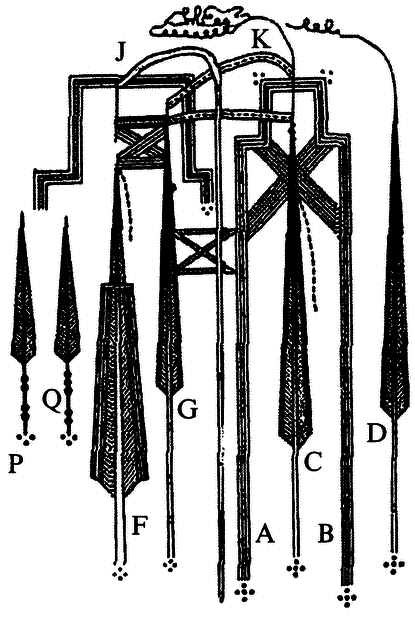 «Исконно русская» земля Сибирь - i_042.png