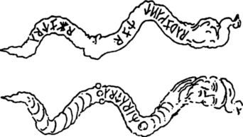 Происхождение славян - i_059.jpg