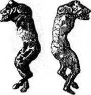 Энциклопедия языческих богов. Мифы древних славян - i_086.jpg