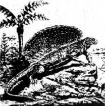 Энциклопедия языческих богов. Мифы древних славян - i_171.jpg