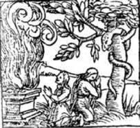 Энциклопедия языческих богов. Мифы древних славян - i_216.jpg