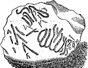 Энциклопедия языческих богов. Мифы древних славян - i_570.jpg