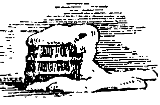 Упрямое тесто - pic_10.png