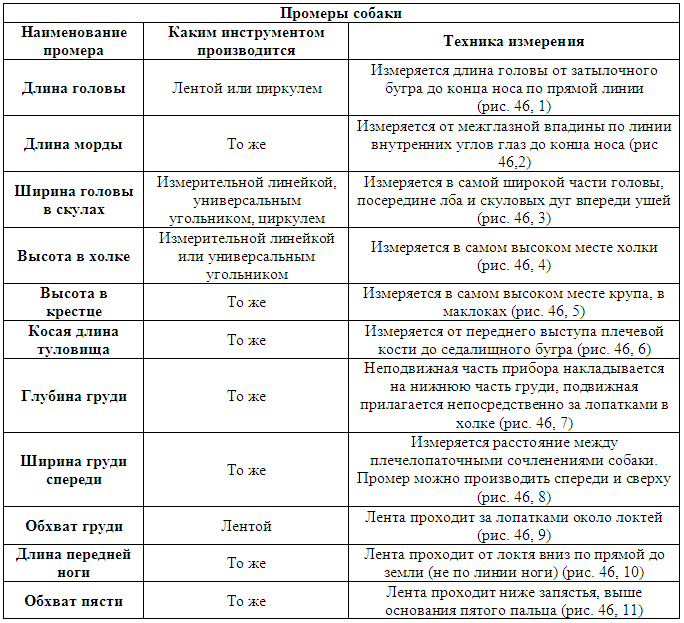 Племенное дело в служебном собаководстве - i_082.png