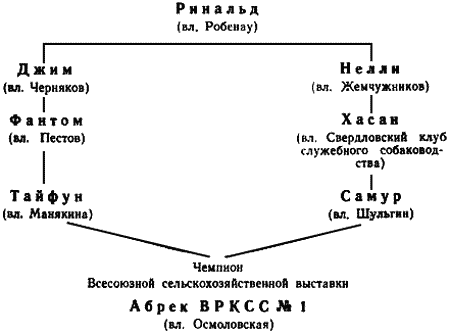 Племенное дело в служебном собаководстве - i_103.png