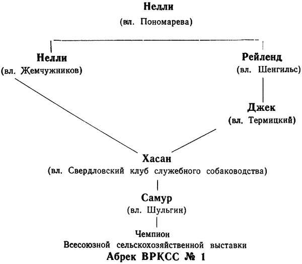 Племенное дело в служебном собаководстве - i_104.png