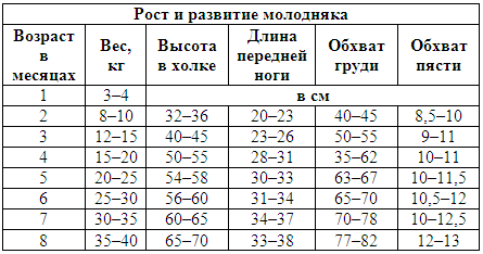 Племенное дело в служебном собаководстве - i_117.png