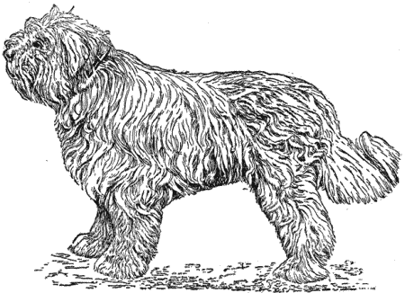 Служебная собака. Руководство по подготовке специалистов служебного собаководства - i_022.png
