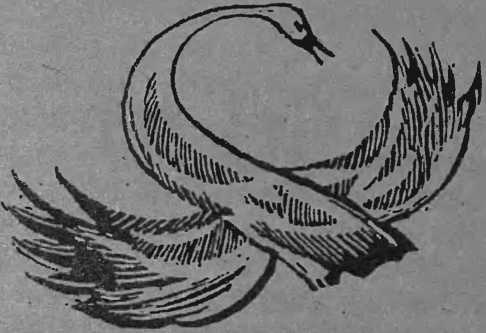 Флорис. Любовь моя - i_007.jpg