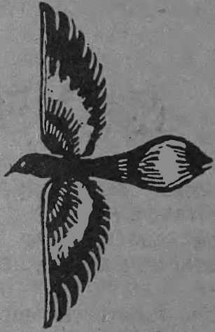 Флорис. Петербургский рыцарь - i_005.jpg