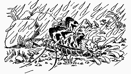 Муравьи не сдаются - Any2FbImgLoader8