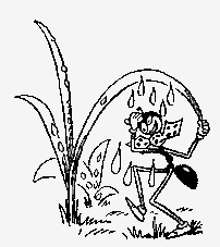 Муравьи не сдаются - Any2FbImgLoader9