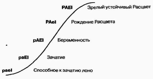 Управление жизненным циклом корпорации - img_71.png