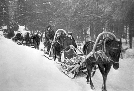 Ржевско-Вяземские бои (08.01-28.02.1942 г.). Часть 1 - _57.jpg