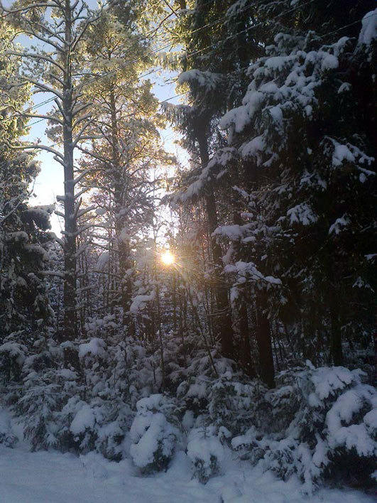 Ржевско-Вяземские бои. Часть 1 - _3.jpg