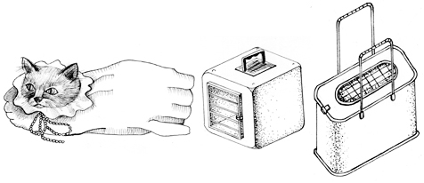 Уход за домашними кошками - i_002.jpg