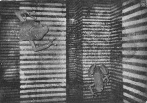 Флешка-2GB - _14.jpg