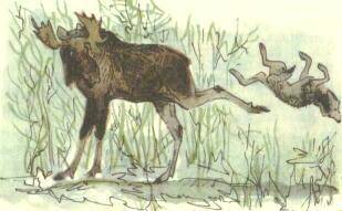 А это мы! - _14.jpg