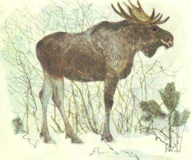 А это мы! - _2.jpg