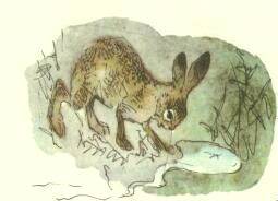 А это мы! - _5.jpg