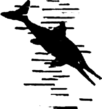 В погоне за ихтиозаврами - pic_7.png