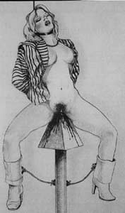 Казни и пытки. Мифы и легенды - i_016.jpg