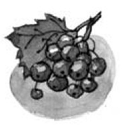 На все цвета радуги (сборник) - i_006.jpg