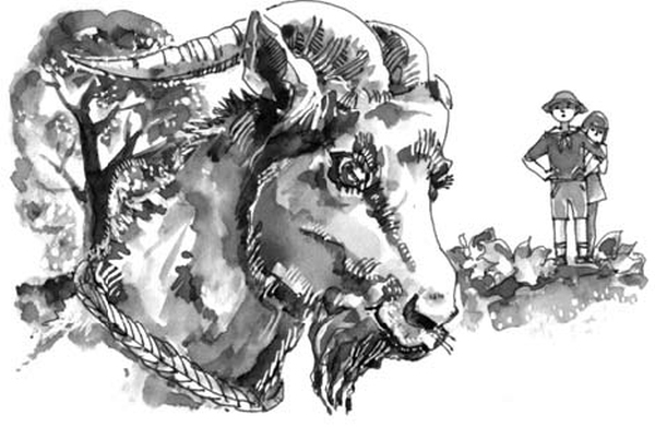 На все цвета радуги (сборник) (с илл.) - i_003.jpg