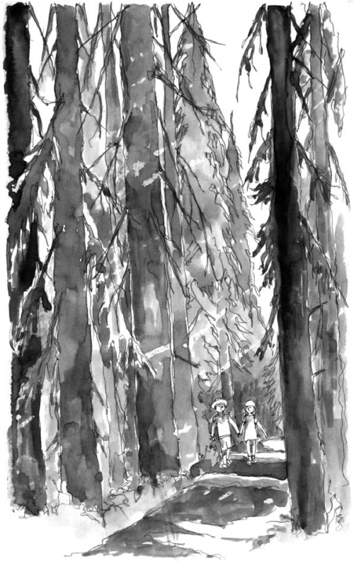 На все цвета радуги (сборник) (с илл.) - i_004.jpg