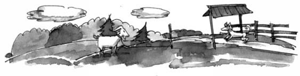 На все цвета радуги (сборник) (с илл.) - i_005.jpg