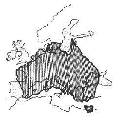 Эти странные австралийцы - pic_1.jpg