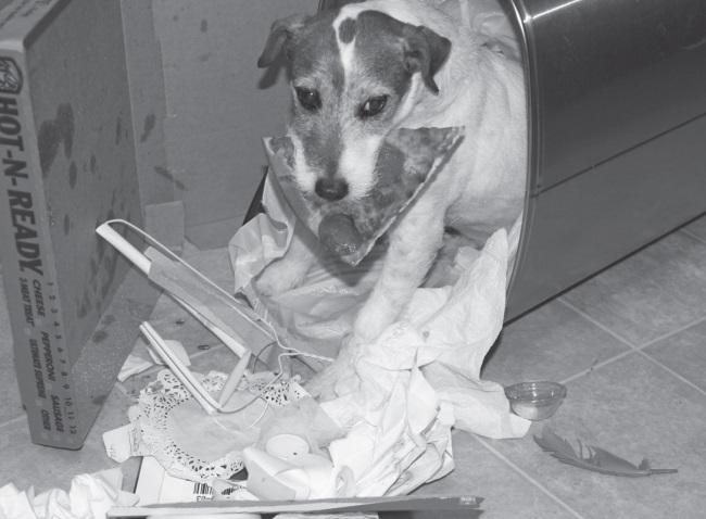 Угги. Моя жизнь - i_012.jpg