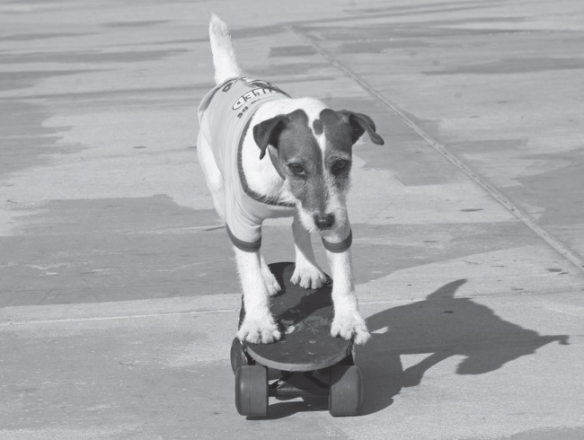 Угги. Моя жизнь - i_018.jpg