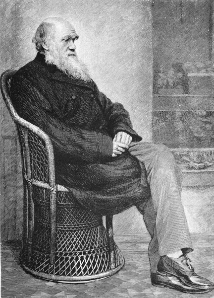 Дневник работы и жизни - _2.jpg