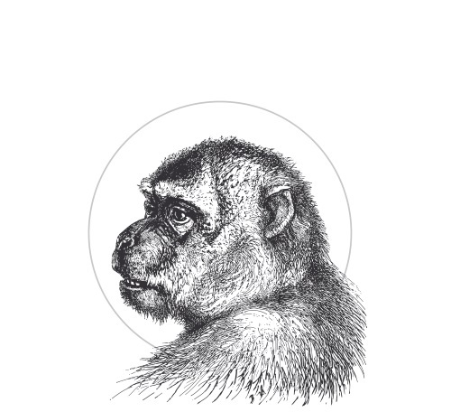 Происхождение видов путем естественного отбора, или Сохранение благоприятных рас в борьбе за жизнь - i_001.jpg