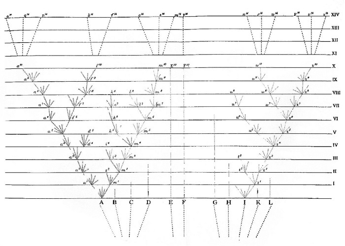 Происхождение видов путем естественного отбора, или Сохранение благоприятных рас в борьбе за жизнь - i_010.jpg