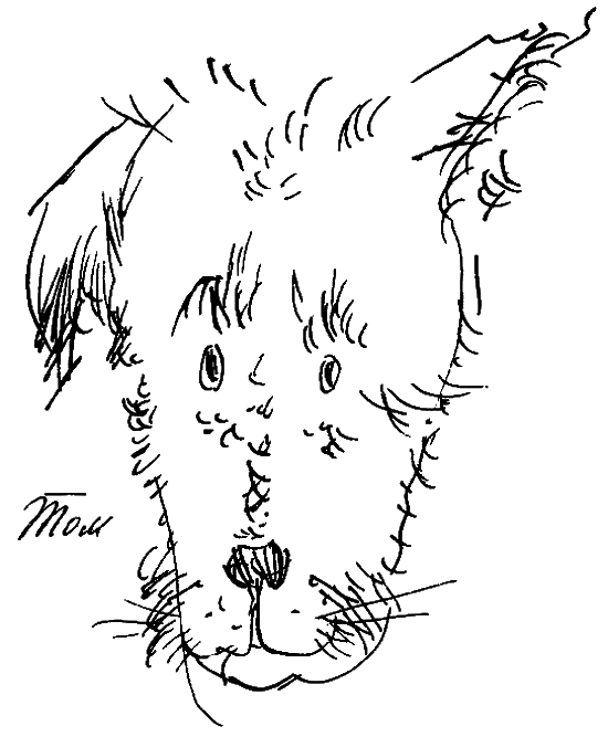 Призрак Томаса Кемпе. Чтоб не распалось время - i_012.png