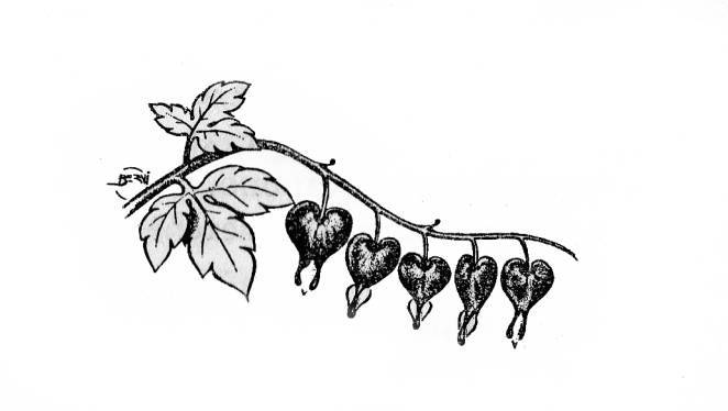 Безмолвный пруд - _24.jpg