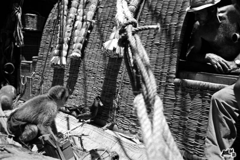 С Хейердалом через Атлантику. О силе духа в диких условиях - i_005.jpg