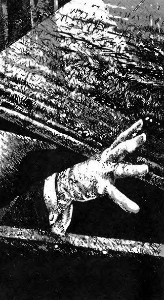 Ночь белых вампиров - i_007.jpg