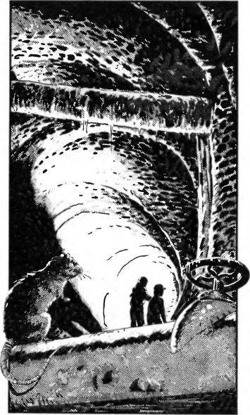 Ночь белых вампиров - i_022.jpg