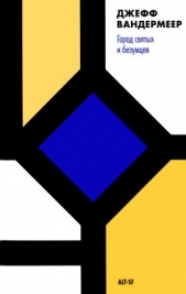 Город святых и безумцев - автор Вандермеер Джефф 