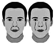 Курс начинающего лжеца от А до Я - i_056.png