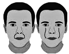 Метод «Все врут». Манипулируем реальностью – техники доктора Хауса - i_056.png