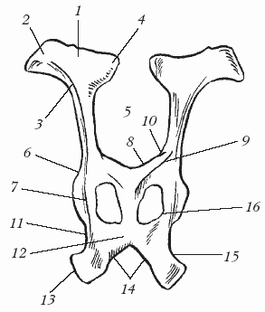 Болезни крупного рогатого скота - i_006.png