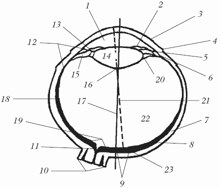 Болезни крупного рогатого скота - i_010.png