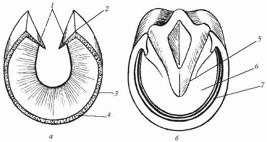Болезни лошадей - i_011.png