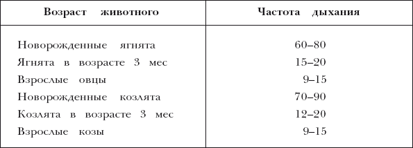 Болезни мелкого рогатого скота - i_016.png