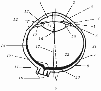 Болезни овец и коз - i_011.png