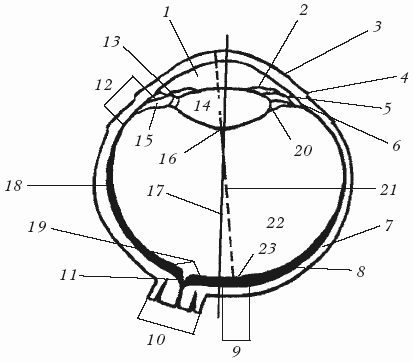 Болезни свиней - i_012.png